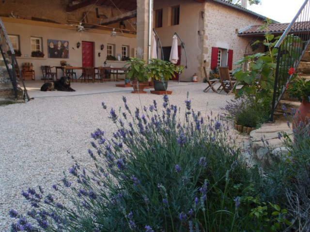 Ferme Robin Marsaz Exterior foto